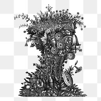 Giuseppe Arcimboldo fruit face art png illustration, transparent background. Free public domain CC0 image.