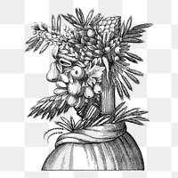 Giuseppe Arcimboldo fruit face art png illustration, transparent background. Free public domain CC0 image.