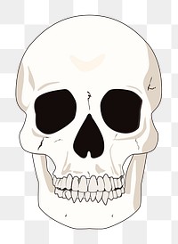 Png human skull clipart, transparent background. Free public domain CC0 image.