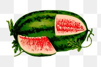 Png watermelon clipart, transparent background. Free public domain CC0 image.