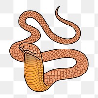 Png cobra clipart, transparent background. Free public domain CC0 image.