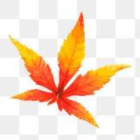 Png red maple leaf clipart, transparent background. Free public domain CC0 image.