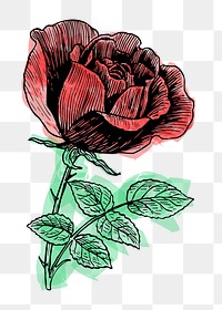 Png vintage rose clipart, transparent background. Free public domain CC0 image.