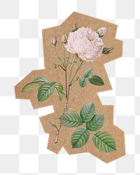 White rose png, cut out paper element, transparent background. Artwork from Pierre Joseph Redouté remixed by rawpixel.