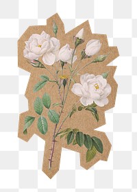 Vintage white flowers png, cut out paper element, transparent background. Artwork from Pierre Joseph Redouté remixed by rawpixel.