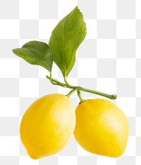 Lemon png image on transparent background