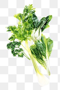 Green vegetable png collage element on transparent background