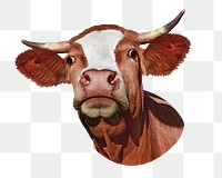 PNG Cow, collage element, transparent background