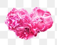 Bright pink flower collage element, transparent background