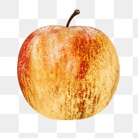 Fresh apple png, transparent background