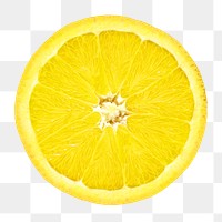 Organic lemon slice png collage element, transparent background