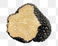 Truffle, food png collage element, transparent background