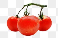 Fresh tomato png, transparent background