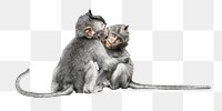 Monkeys hugging png collage element, transparent background