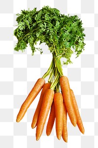 Carrots png collage element, transparent background