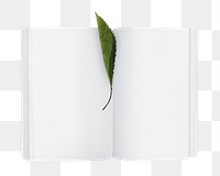 Png open book leaf, isolated object, transparent background