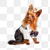 Cute terrier png, design element, transparent background