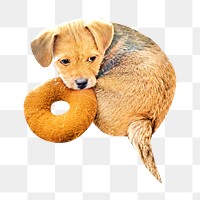 Sad puppy png, design element, transparent background