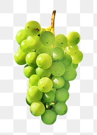 Green grape png, transparent background