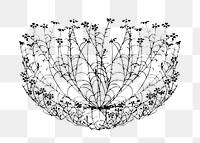 PNG Vintage black flower  illustration transparent background. Remixed by rawpixel.