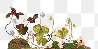 PNG Flowers illustration  transparent background. Remixed by rawpixel.