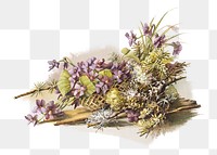 PNG Flower basket illustration  transparent background. Remixed by rawpixel.