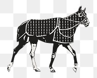 PNG Horse farm animal illustration transparent background. Remixed by rawpixel.