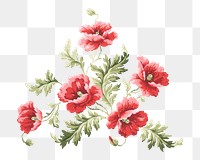 PNG Red poppy illustration transparent background. Remixed by rawpixel.