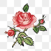 PNG Red rose flower transparent background. Remixed by rawpixel.