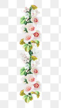 PNG Vintage flower divider transparent background. Remixed by rawpixel.