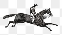 PNG Equestrian horse riding, sports  illustration transparent background. Remixed by rawpixel.