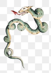 PNG Mythological snake, Draco constellation illustration transparent background. Remixed by rawpixel.