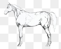 PNG  Horse sketch illustration transparent background. Remixed by rawpixel.