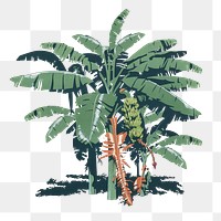 PNG Banana trees illustration transparent background. Remixed by rawpixel.