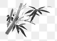 PNG Bamboo tree, vintage botanical illustration by Sesshū Tōyō, transparent background.  Remixed by rawpixel. 