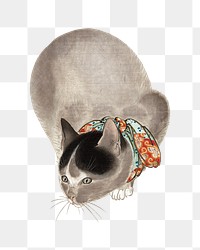 PNG Cat, vintage animal illustration by Oide Tōkō, transparent background.  Remixed by rawpixel. 