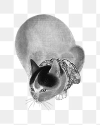 PNG Cat, vintage animal illustration by Oide Tōkō, transparent background.  Remixed by rawpixel. 