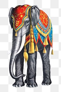 PNG Vintage circus elephant, animal illustration, transparent background.  Remixed by rawpixel. 