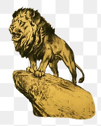 PNG Lion, vintage wild animal illustration by by Arthur Wardle, transparent background.  Remixed by rawpixel. 