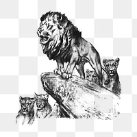 PNG Lion and cubs, vintage animal illustration by by Arthur Wardle, transparent background.  Remixed by rawpixel. 