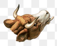 PNG Cow bull, vintage farm animal illustration, transparent background.  Remixed by rawpixel. 