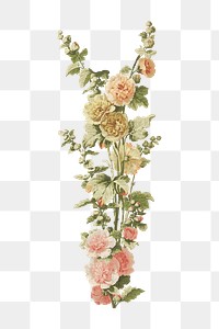 PNG Vintage pink flower, botanical illustration, transparent background.  Remixed by rawpixel. 