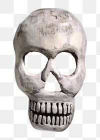 PNG Human skull sculpture, transparent background.  Remixed by rawpixel. 