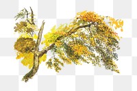 PNG Autumn tree, nature botanical illustration by John Linnell, transparent background.  Remixed by rawpixel. 