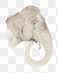 PNG Elephant's head, animal illustration by Thomas Daniell, transparent background.  Remixed by rawpixel. 