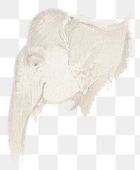 PNG Elephant's head, animal illustration by Thomas Daniell, transparent background.  Remixed by rawpixel. 