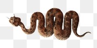 PNG Cerastes, desert snake illustration by James Heath, transparent background.  Remixed by rawpixel. 