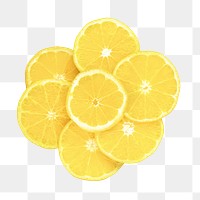 Sliced orange png, food element, transparent background