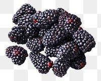 Png berry, transparent background