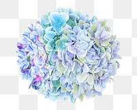 Hydrangea flower png round bouquet, transparent background